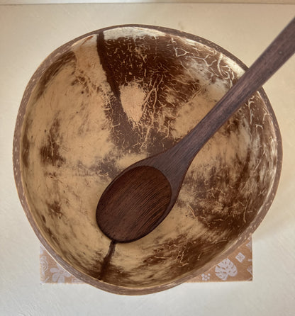 jungle culture coconut bowl & spoon ☁️