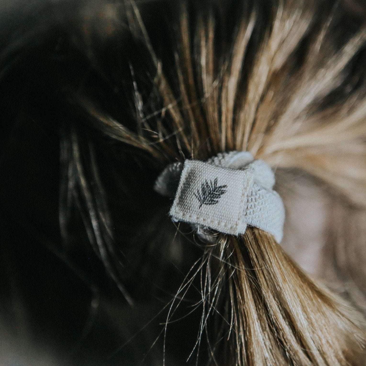 Set of six natural plastic-free hair ties by Wild And Stone, showing eco-friendly, soft elastic hair accessories on a neutral background.