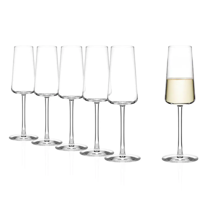 Six Stolzle Power champagne glasses with 240ml capacity, clear glassware for elegant toasts and celebrations.
