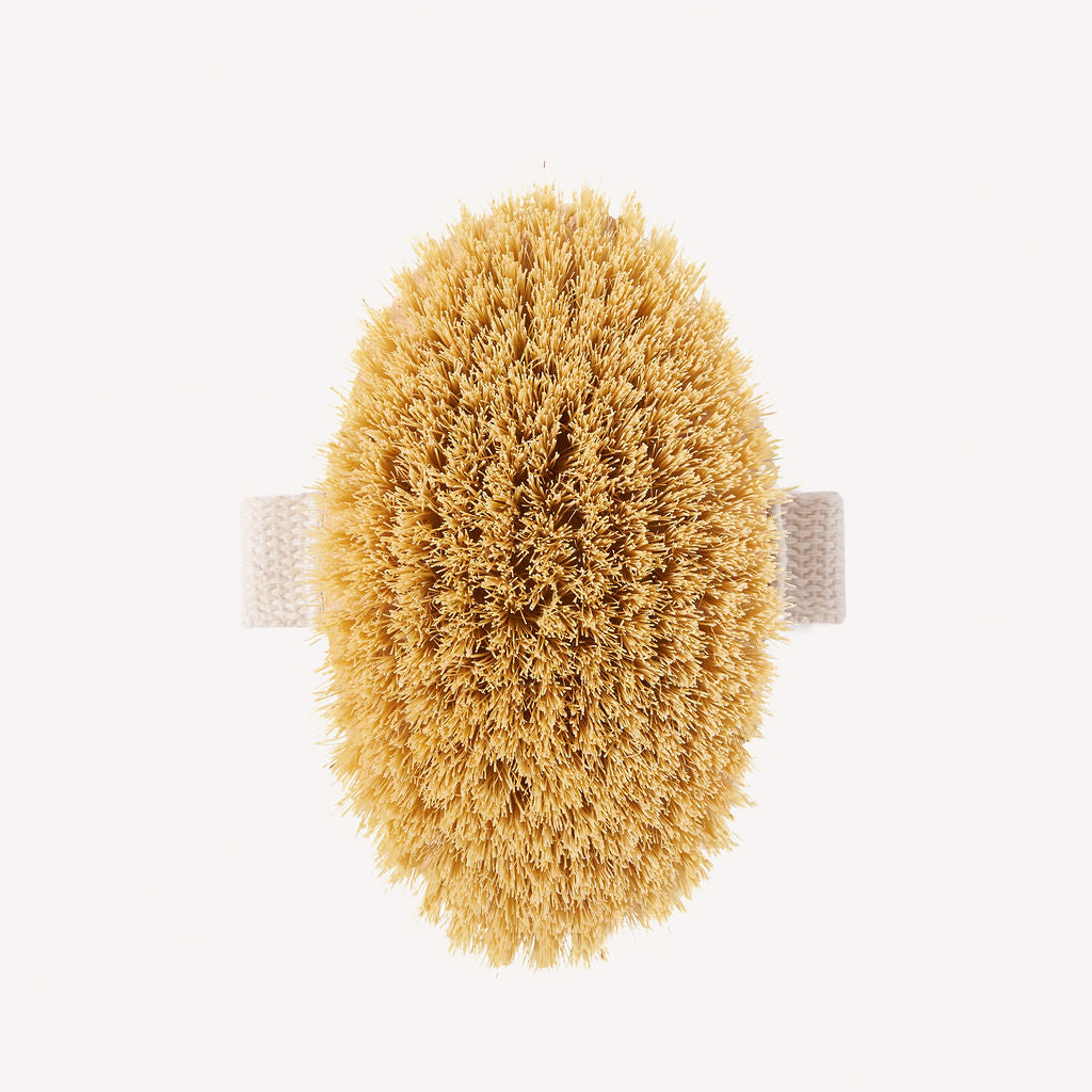 Wild And Stone natural bristle dry body brush with wooden handle, designed for exfoliating and invigorating skin.