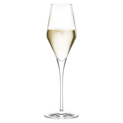 Set of six Stolzle Lausitz Quatrophil champagne wine glasses, 290ml, clear glassware for elegant celebrations.