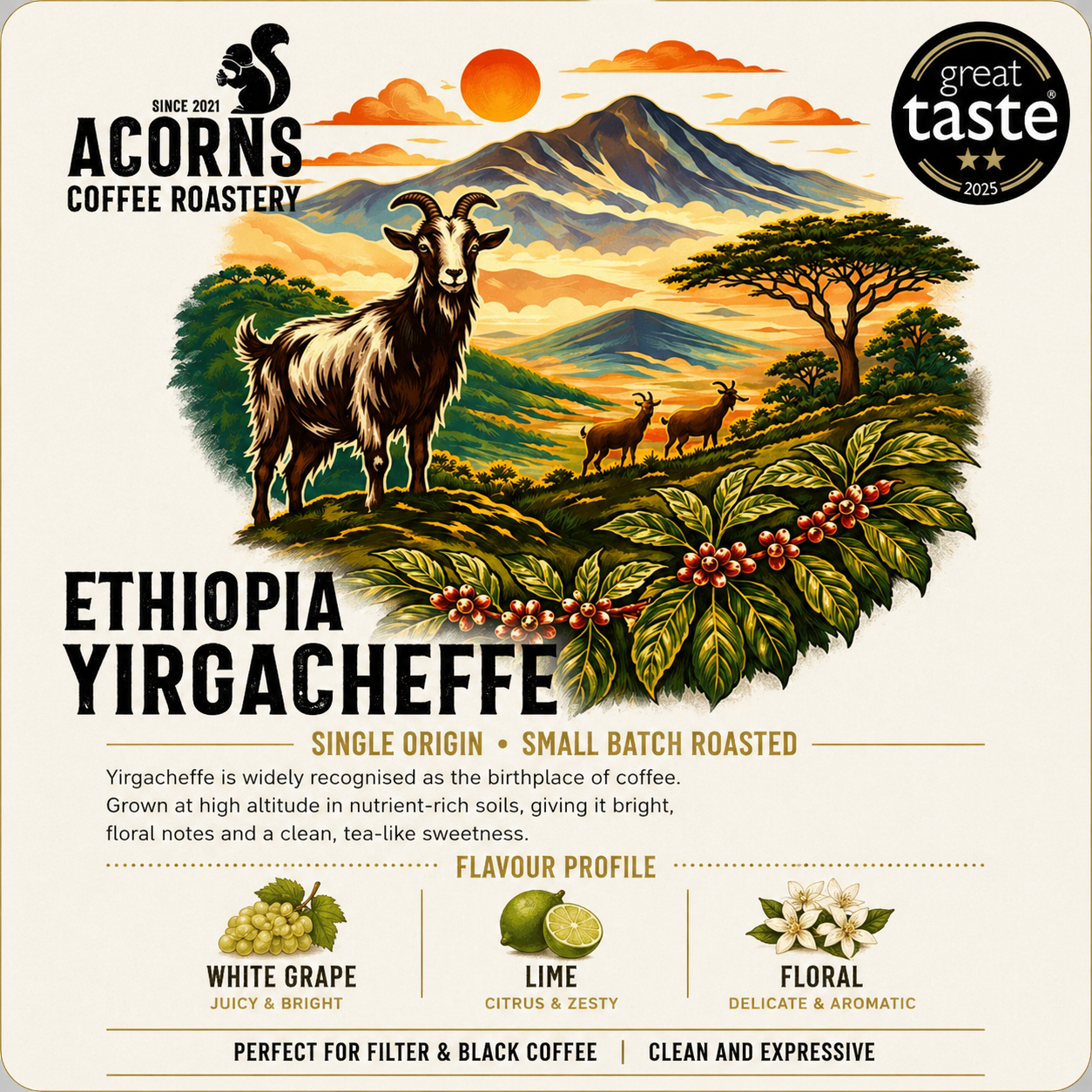 Ethiopian Yirgacheffe coffee from Acorns Coffee & Cake, medium roast with grape, lime, and floral notes in a coffee cup.