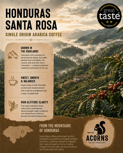 Medium roast Honduras Santa Rosa coffee from Acorns Coffee & Cake, featuring smooth, sweet coffee beans with mountain landscape background.