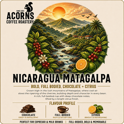 Medium roast Nicaragua Matagalpa coffee beans from Acorns Coffee & Cake with chocolate and citrus notes.