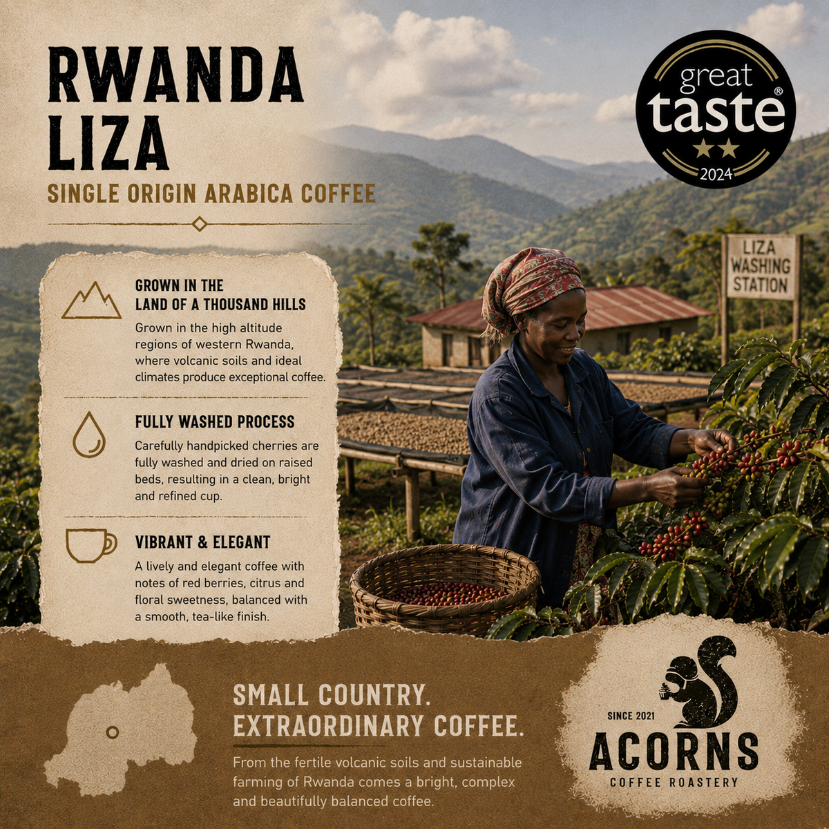 Medium roast Rwanda Liza coffee by Acorns Coffee & Cake, showcasing freshly brewed coffee in a cup with rich aroma.