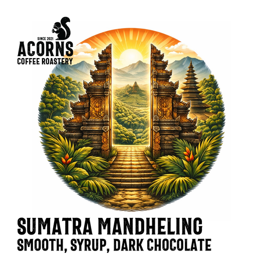 Sumatra Mandheling coffee from Acorns Coffee & Cake featuring smooth brew with hints of syrup and chocolate.