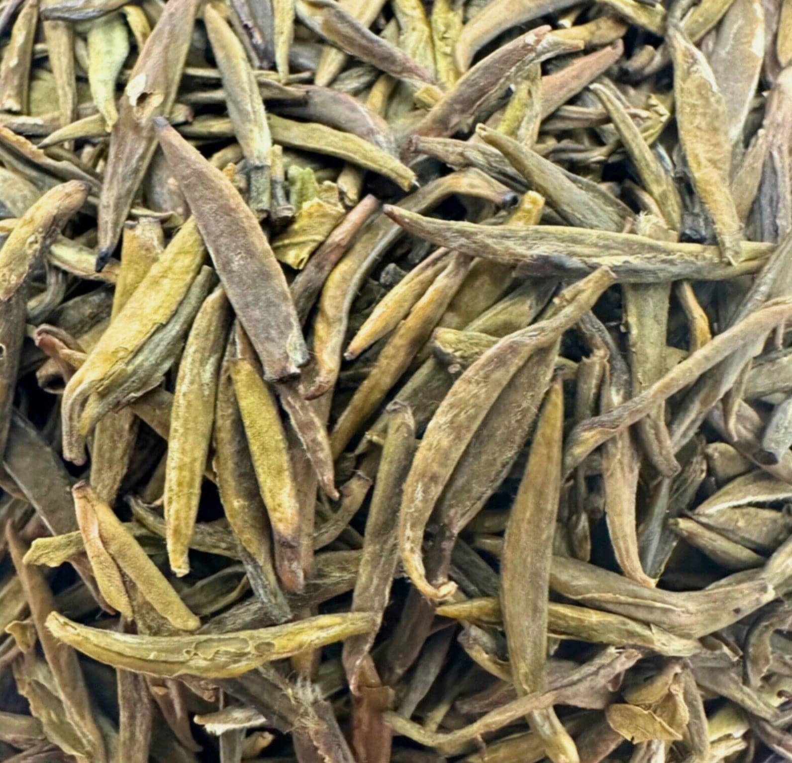 Porter Hill Tea Company's Badaling Yellow Green Tea leaves in a bowl, showcasing vibrant yellow-green tea leaves for brewing.