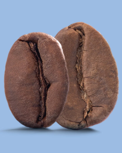 Recent Beans Aire Street Blend Light Medium Roast Coffee in a bag with a label and coffee beans on a wooden surface.