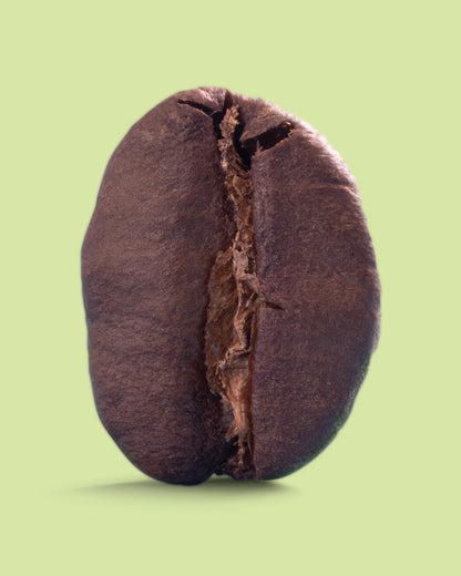 Brazil Eagle Monte Carmelo medium roast coffee from Recent Beans, featuring a bag of rich, aromatic coffee beans on a wooden surface.