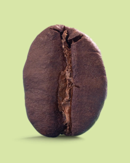 Brazil Eagle Monte Carmelo medium roast coffee from Recent Beans, featuring a bag of rich, aromatic coffee beans on a wooden surface.