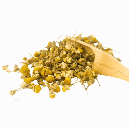 Organic chamomile herbal tea from Porter Hill Tea Company in a tea bag with dried chamomile flowers visible.