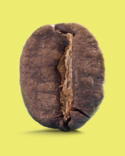 Recent Beans Dulima Excelso medium roast coffee bag with Colombian coffee beans and vibrant label design.