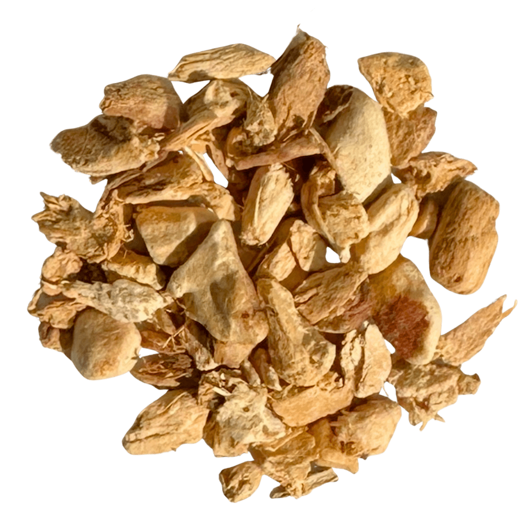 Fresh Thai ginger root from Porter Hill Tea Company, showcasing its knobby, tan-brown skin and vibrant interior.