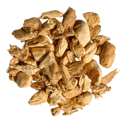 Fresh Thai ginger root from Porter Hill Tea Company, showcasing its knobby, tan-brown skin and vibrant interior.