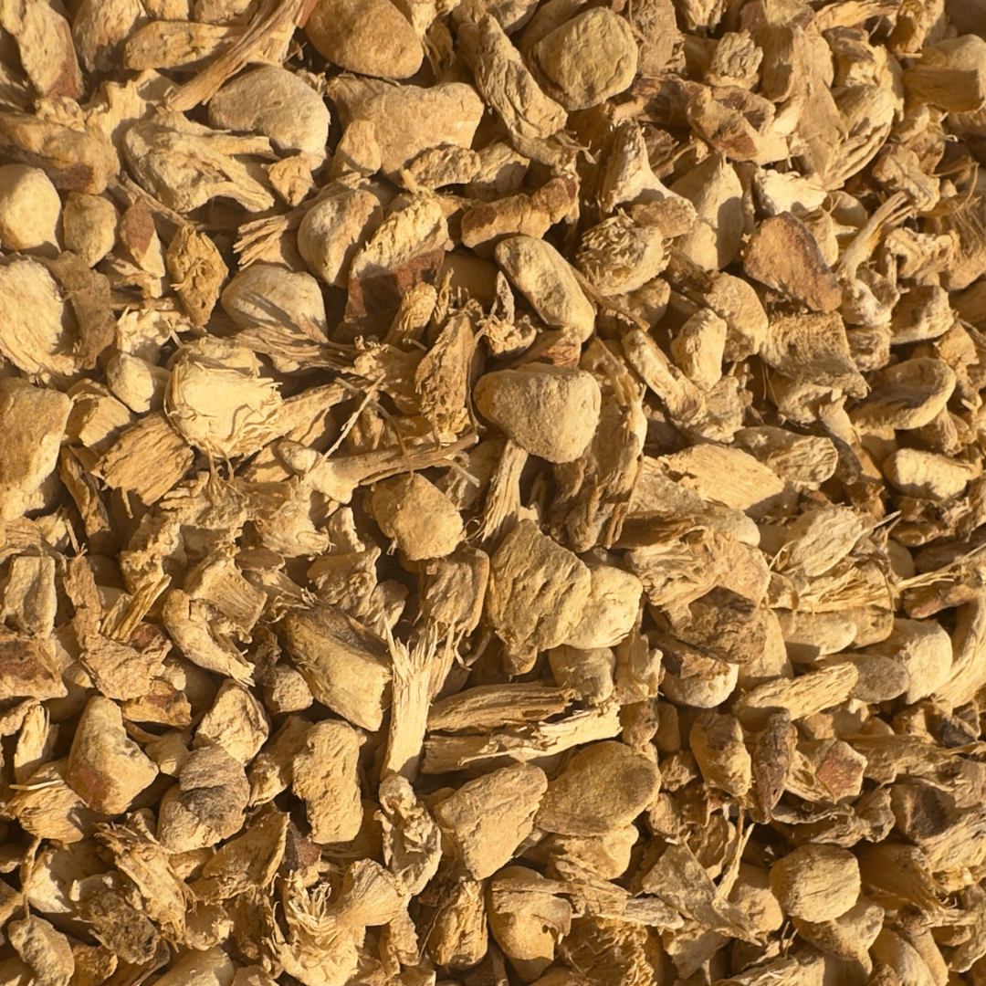 Fresh Thai ginger root from Porter Hill Tea Company, showing the knobby, earthy ginger with a light brown skin and vibrant interior.