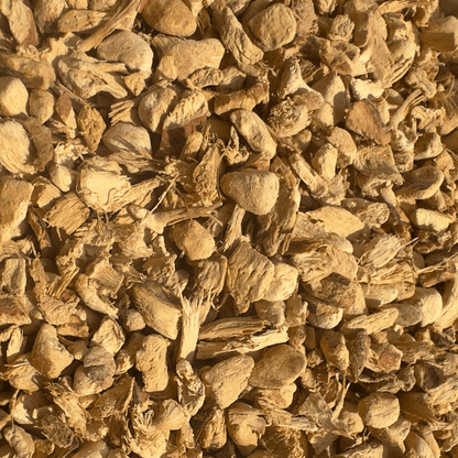 Fresh Thai ginger root from Porter Hill Tea Company, showing the knobby, earthy ginger with a light brown skin and vibrant interior.