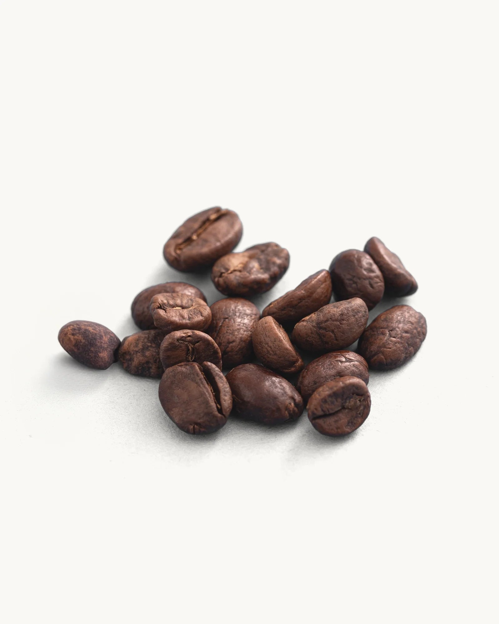 Decaf El Buho Excelso medium roast coffee beans by Recent Beans, showcasing a bag of high-quality coffee beans with a rich, aromatic appearance.