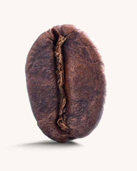 Recent Beans El Buho Excelso Medium Roast Coffee decaffeinated coffee beans in a carousel image.