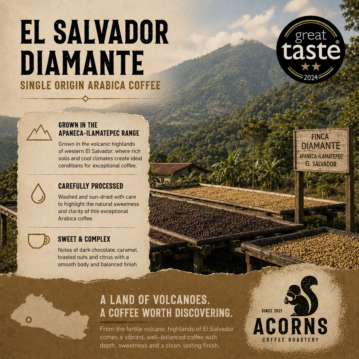 Medium roast El Salvador Diamante volcanic coffee beans from Acorns Coffee & Cake, showcasing rich, roasted coffee beans.