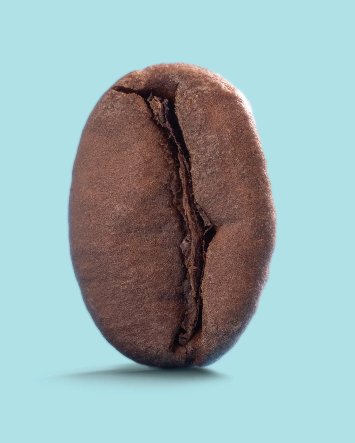 Ethiopian Awash River medium roast coffee beans from Recent Beans, displayed in a bag against a rustic wooden background.
