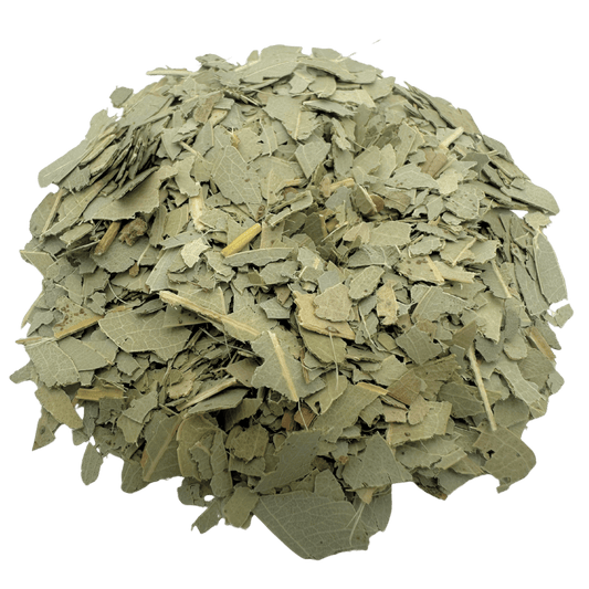 Fresh eucalyptus leaves for herbal tea from Porter Hill Tea Company, showcasing vibrant green leaves in a natural setting.