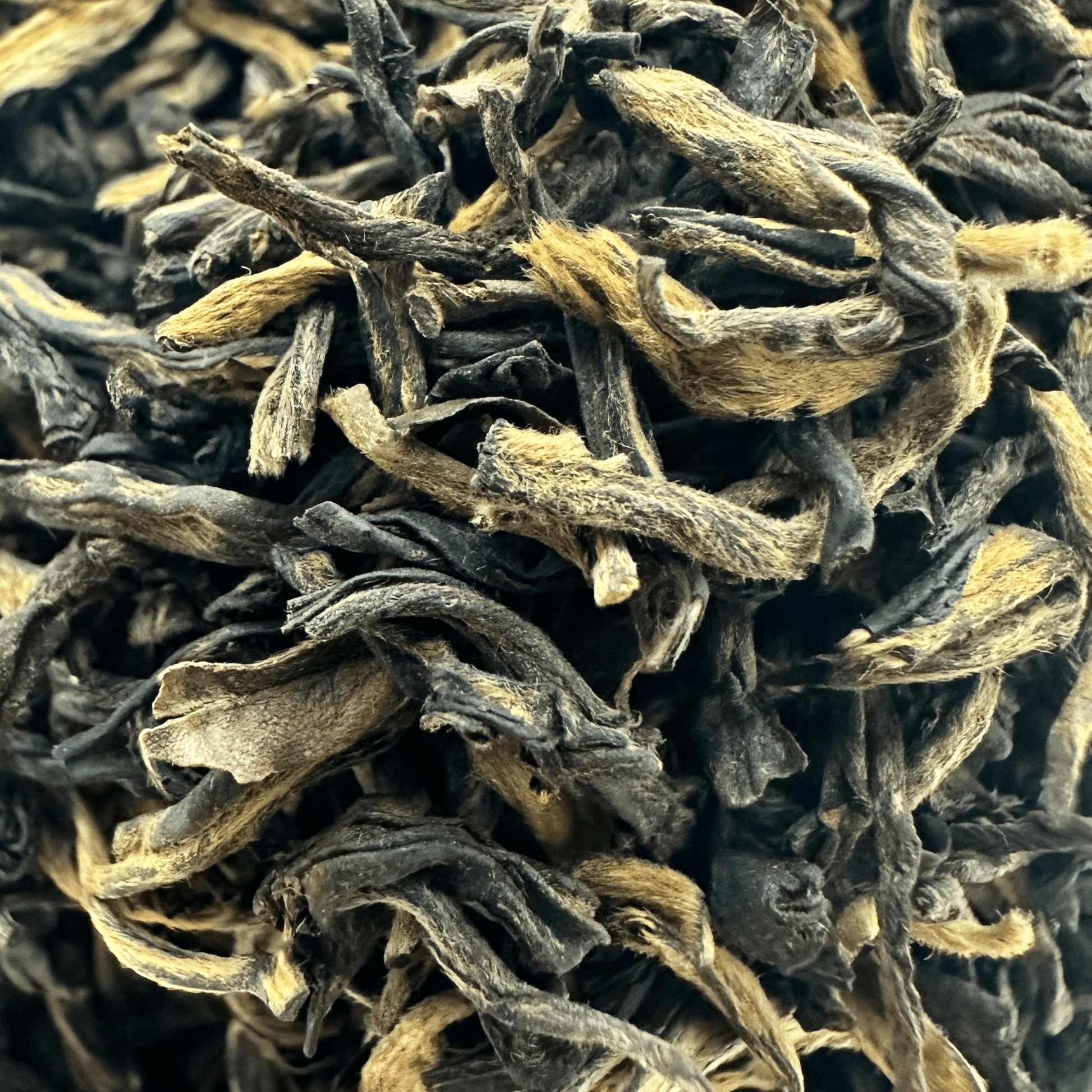 Golden Heaven Yunnan black tea leaves from Porter Hill Tea Company, showcasing rich golden tips and dark tea leaves.