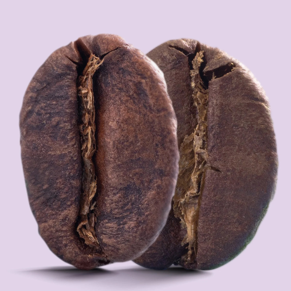 Half-caf medium roast coffee by Recent Beans, showcasing a bag of Middle Ground Coffee with rich, roasted beans and brewing setup.