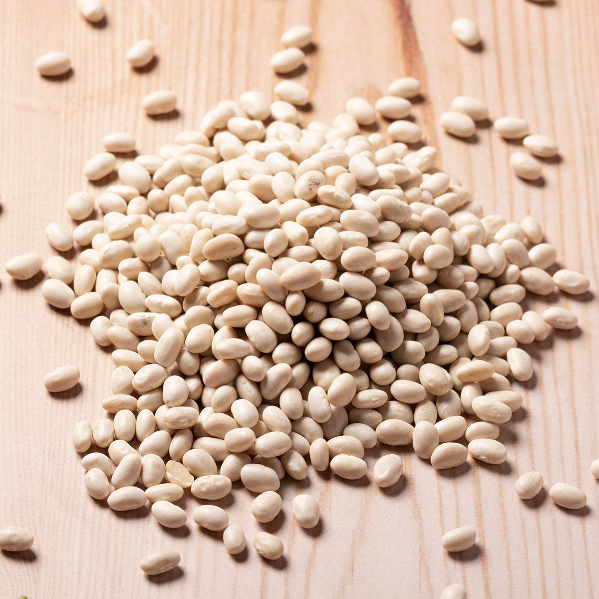 Whole Food Earth haricot beans, dried beans and pulses, showing a close-up of light beige, oval-shaped beans in a natural setting.