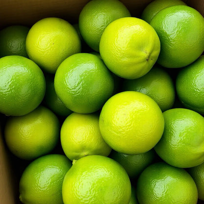 Dried dehydrated lime slices from JoJo’s Kitchen, showing thin, round citrus slices with textured, vibrant green and yellow peel.