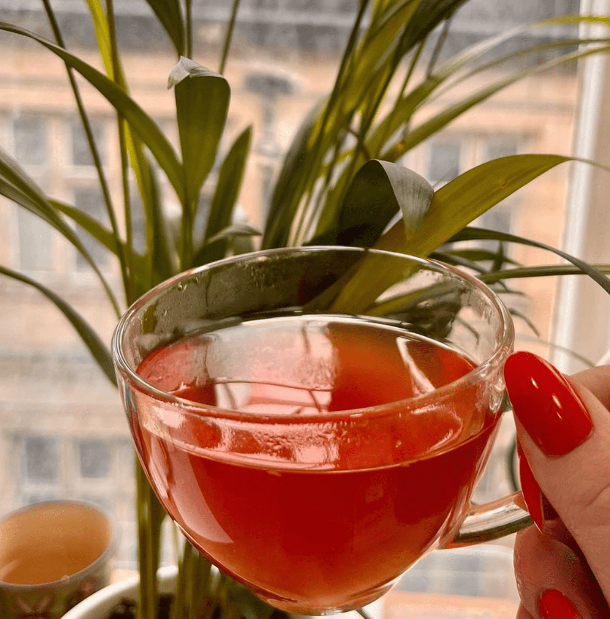 Porter Hill Tea Company Glow fruit and herbal tea in a clear glass cup, showing vibrant colorful tea leaves and herbs.