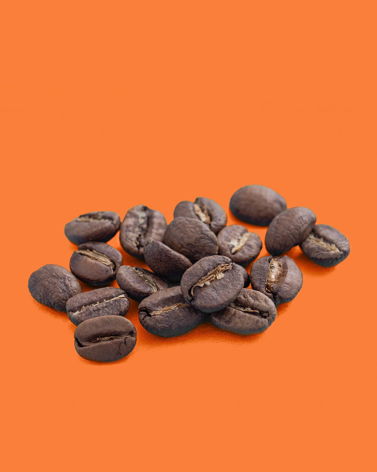 Kenya Sasini AA medium roast coffee beans from Recent Beans, showcasing whole, roasted coffee beans with a rich aroma.