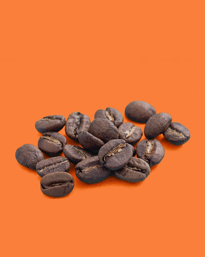 Kenya Sasini AA medium roast coffee beans from Recent Beans, showcasing whole, roasted coffee beans with a rich aroma.
