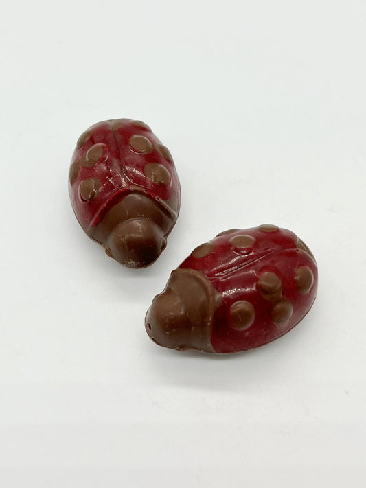Milk chocolate ladybirds by Gorvett & Stone featuring detailed red and black ladybird designs on smooth chocolate surfaces.