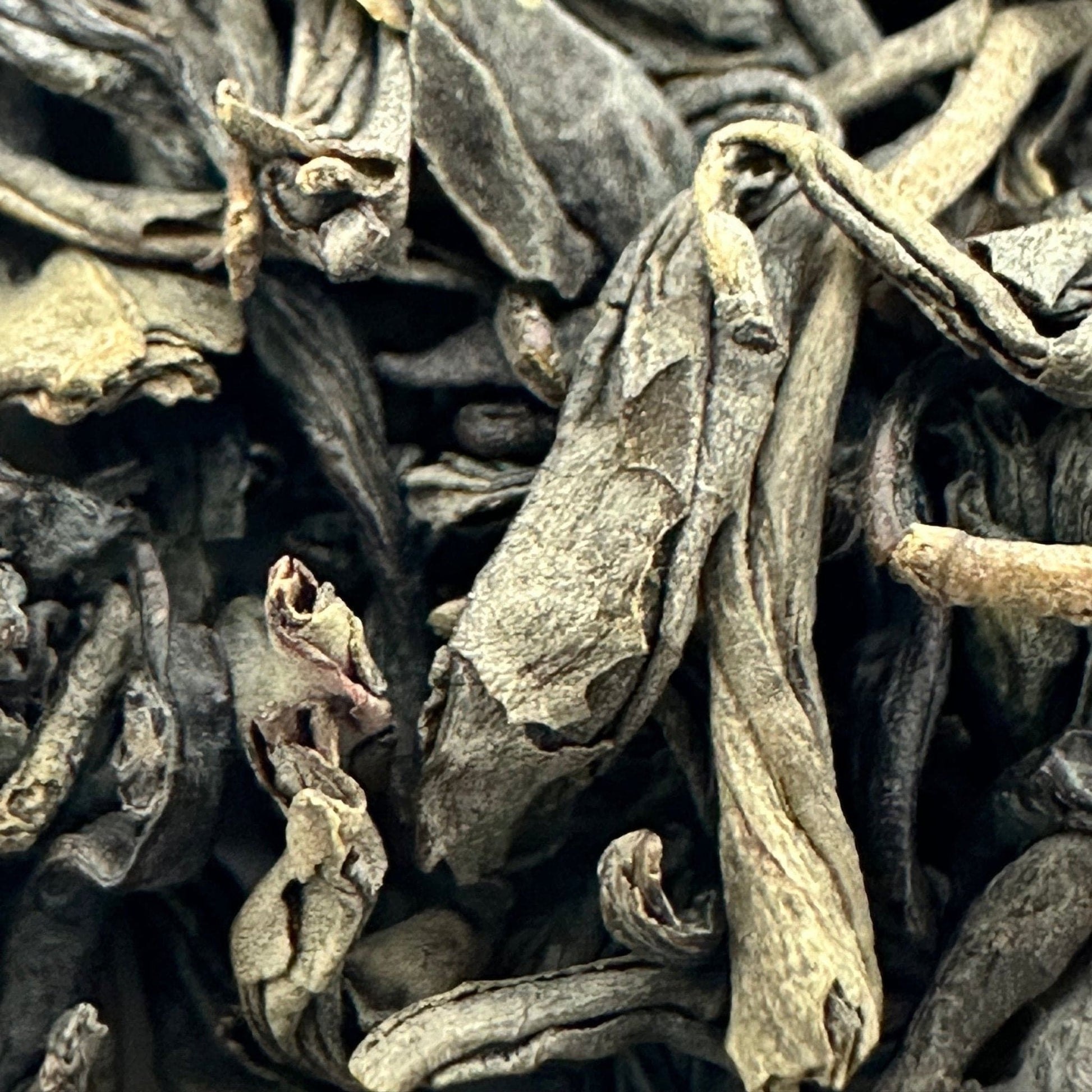 Porter Hill Tea Company's Lucky Dragon Hyson green tea leaves in a tea bag, showcasing vibrant green tea leaves and packaging.