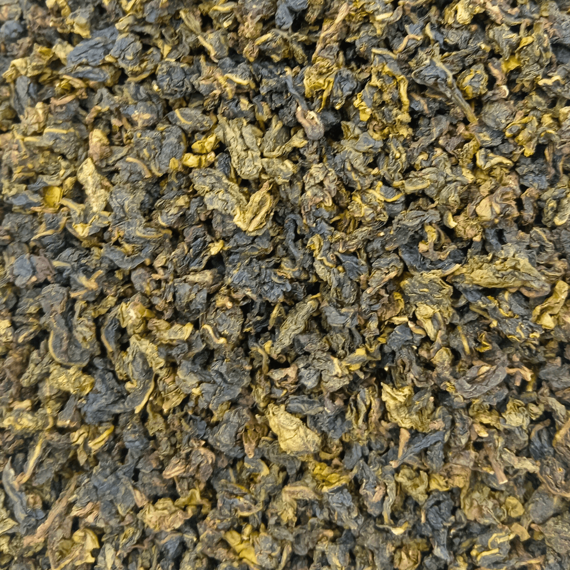 Loose leaf Milk Oolong tea from Porter Hill Tea Company, showcasing creamy, rolled tea leaves with a golden hue.
