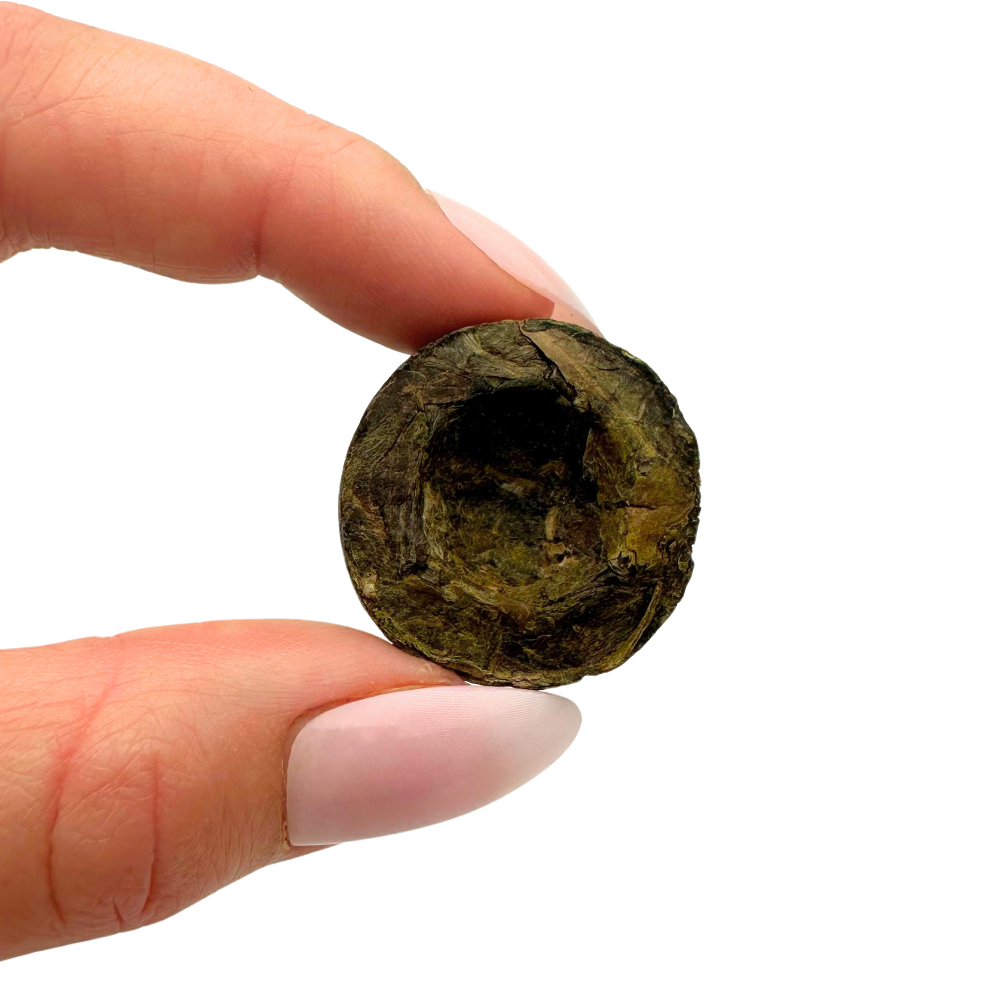 Mini Pu-erh Toucha black tea from Porter Hill Tea Company, showing small compressed tea cake with dark leaves and rich texture.