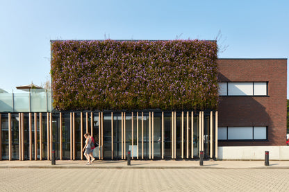 LivePanel outdoor living wall art by Botanical Boys featuring lush green plant panels on a modern exterior wall.