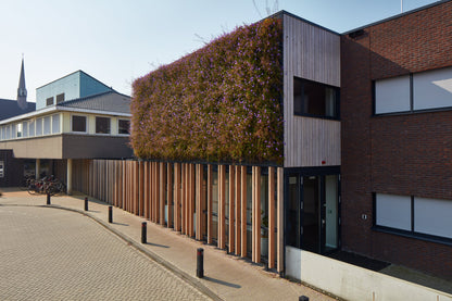 LivePanel outdoor living wall art by Botanical Boys, featuring lush green vertical garden with modular plant panels.