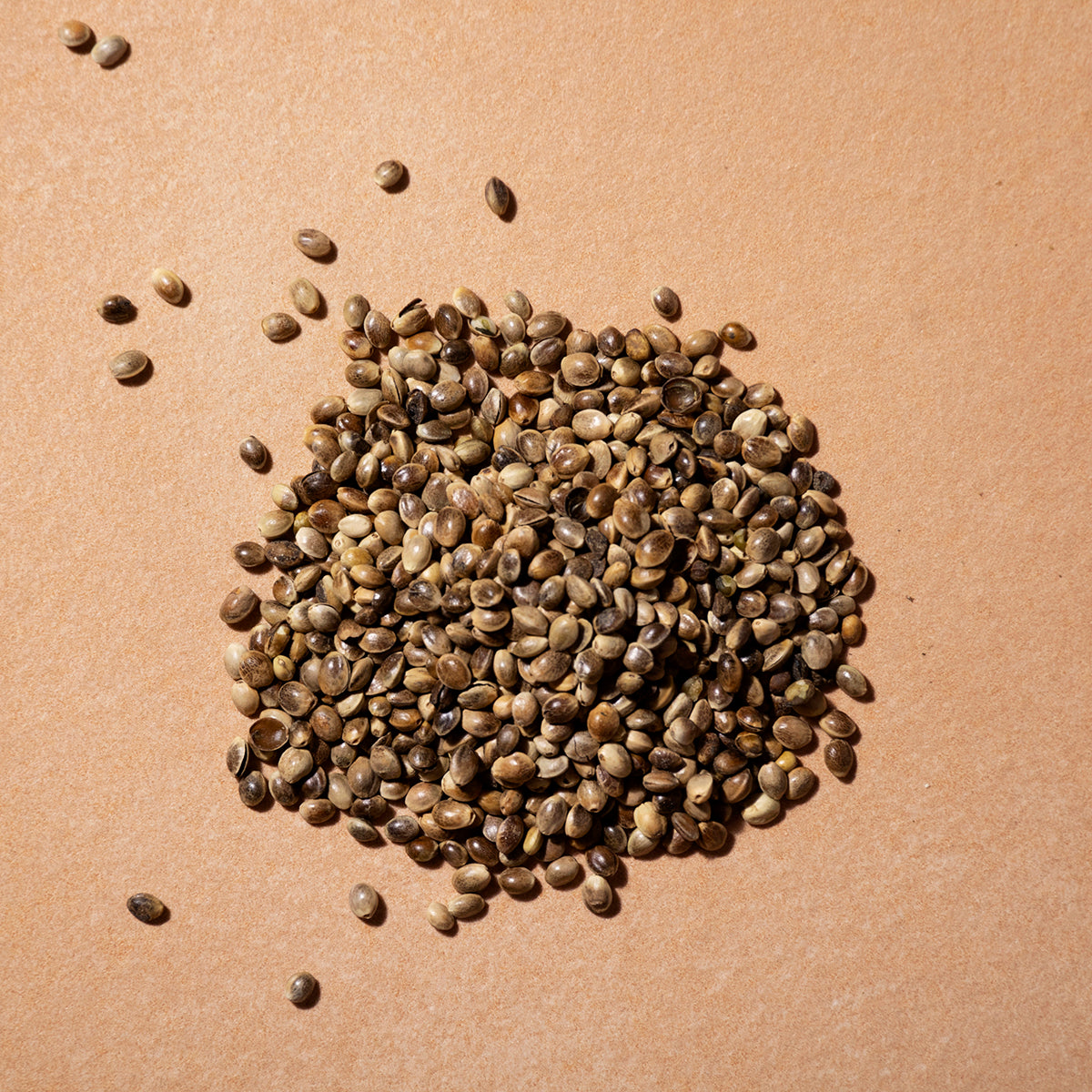 Organic hemp seeds from Whole Food Earth, a healthy nut and seed product, shown in a close-up of the raw, natural seeds.