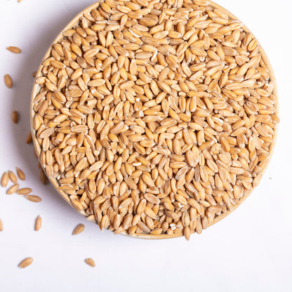 Organic spelt grain from Whole Food Earth, showing a close-up of the light-colored, whole spelt grains in a natural setting.