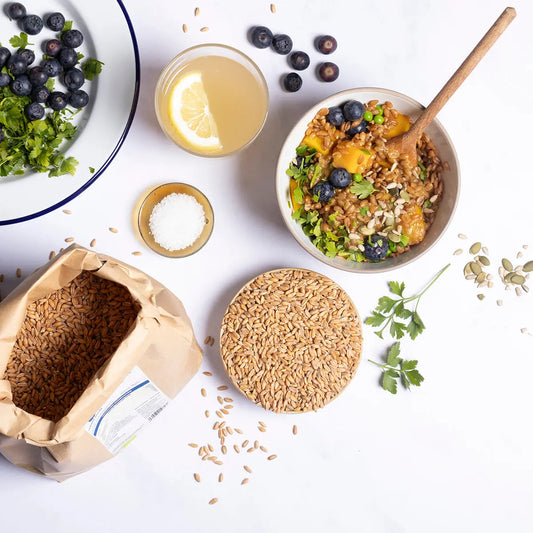 Organic Spelt Grain from Whole Food Earth, displayed in a natural setting with a rustic bowl of spelt grains and wheat stalks.