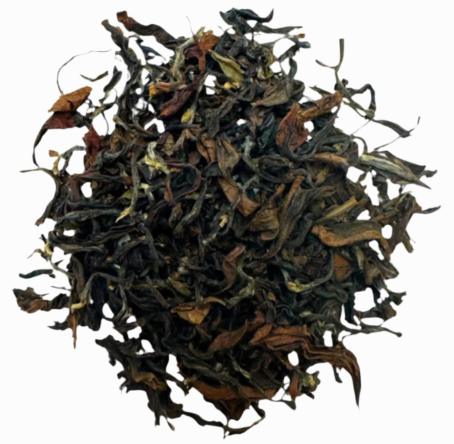 A close-up of Porter Hill Tea Company's Oriental Beauty Oolong tea leaves displaying their distinctive appearance and rich color.