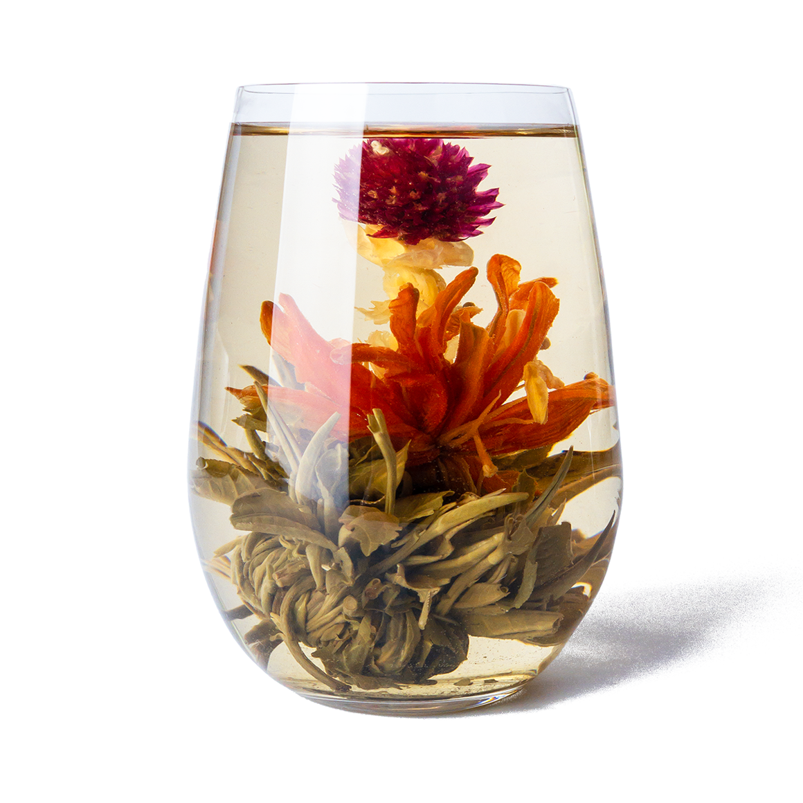 Glass of Divine Lily Blooming Tea by PekoeTea Edinburgh showcasing a blooming lily blossom inside a clear teapot.