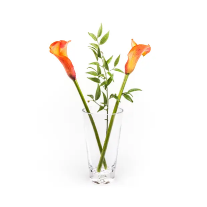 Handmade tapered bubble base glass vase by Glassware UK, 18cm tall with a unique bubble design and elegant shape.