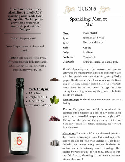 Turn 6 premium alcohol-free sparkling red wine bottle with a detailed red label and elegant packaging.
