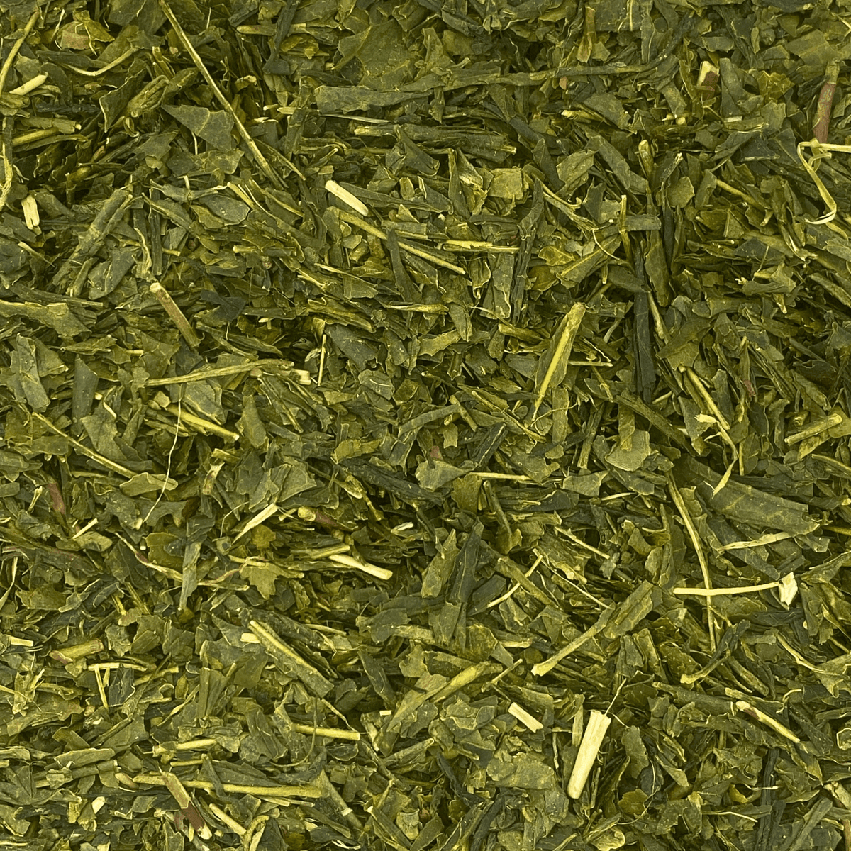 Japanese Sencha green tea leaves in a clear glass jar, showcasing fresh, vibrant green tea from Porter Hill Tea Company.