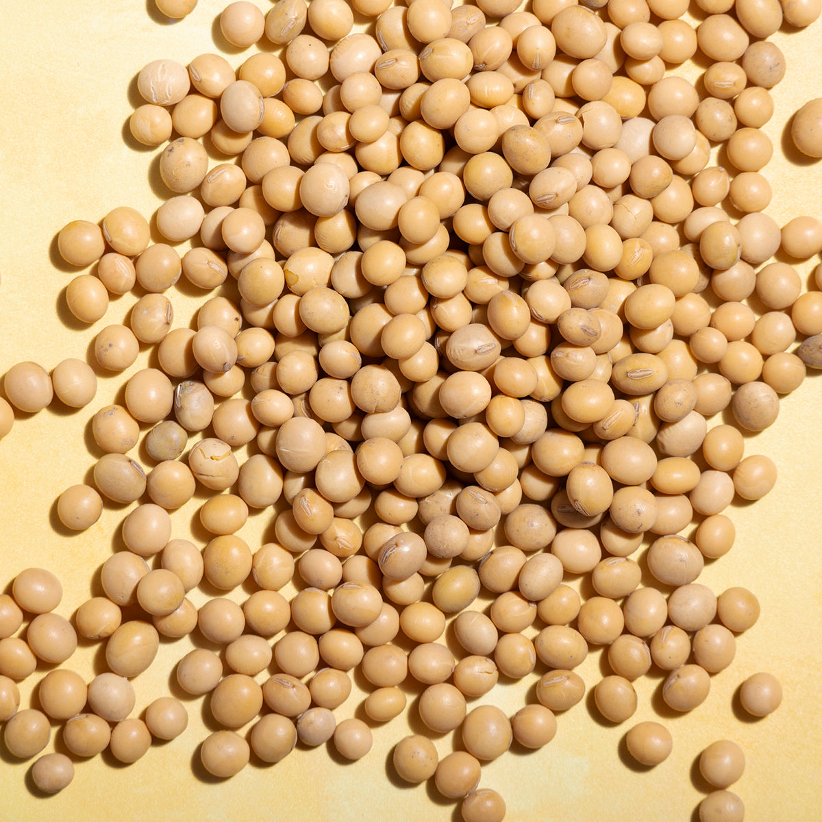 Whole Food Earth soya beans, raw pulses with light beige color, displayed in a close-up view on a white background.