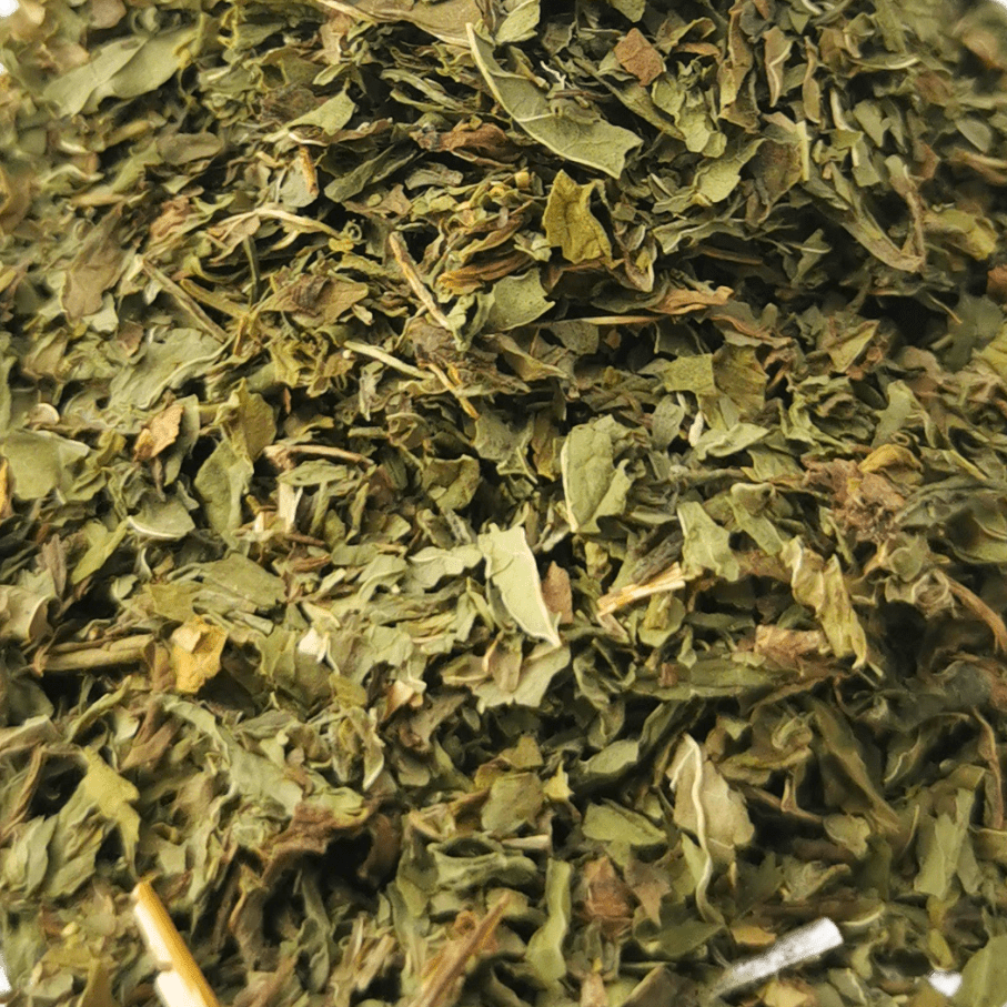 Fresh spearmint leaves and a cup of spearmint herbal tea from Porter Hill Tea Company on a wooden table.