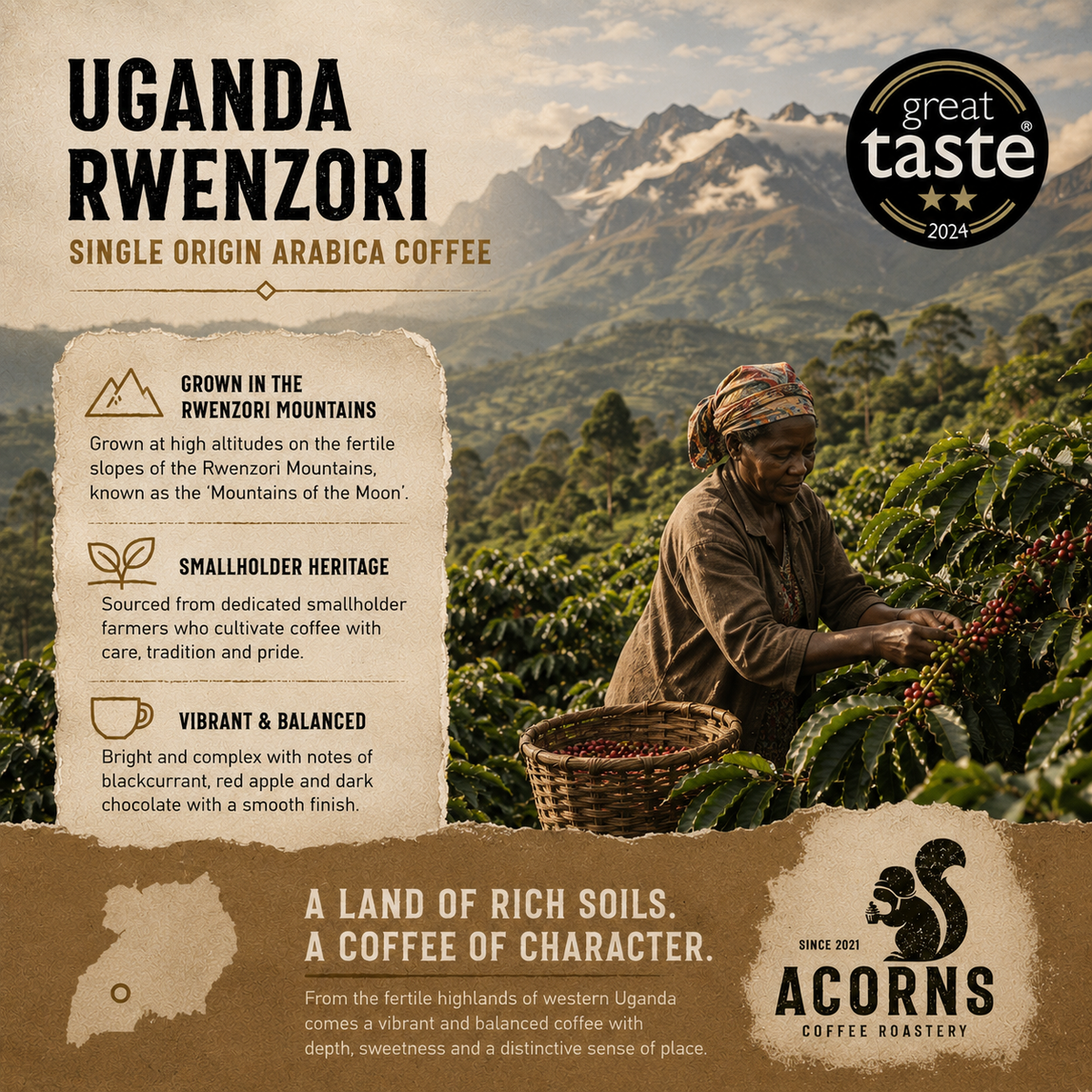 Fresh roasted Uganda Rwenzori Kisinga coffee beans by Acorns Coffee & Cake, showcasing medium roast beans on a mountain-themed background.