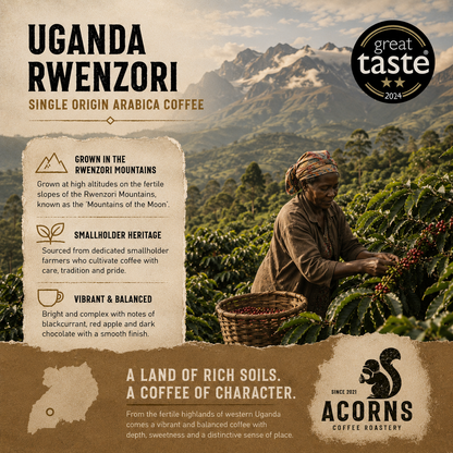 Fresh roasted Uganda Rwenzori Kisinga coffee beans by Acorns Coffee & Cake, showcasing medium roast beans on a mountain-themed background.